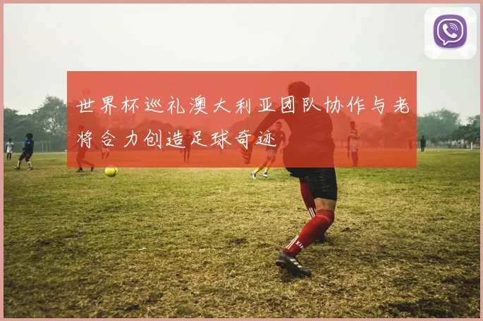 世界杯巡礼澳大利亚团队协作与老将合力创造足球奇迹