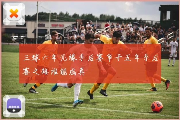 三球六年无缘季后赛华子五年季后赛之路谁能成真